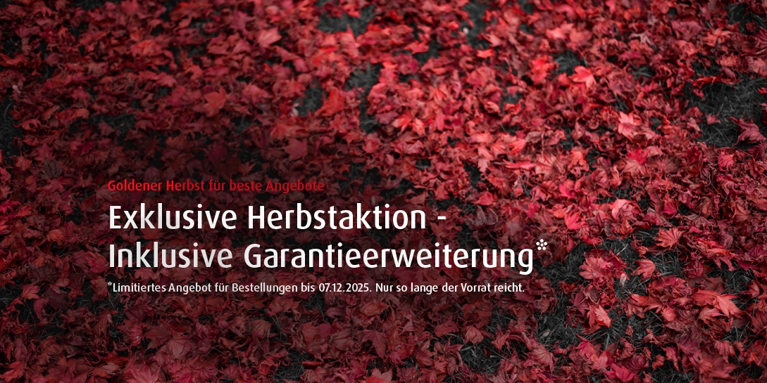 Hero-Aktion-Herbst-2025